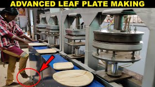 HOW Areca Leaf Plates Making  Disposable and BioDegradable  Factory Explorer [upl. by Ellekram37]