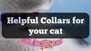 Collars for Cats 101 A Guide to the Different Styles and Functions [upl. by Kissner]