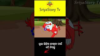 chadhei hela bhuta part1  odia gapa  tiki chadhei gapa  odia cartoon  odia moral story [upl. by Neenej]