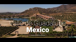 Valle de Guadalupe Mexico  4k Drone Footage [upl. by Bresee932]