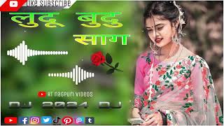 ludu budu sag lekha disa tor kaya ge ludu budu sag nagpuri song dj remix 2024 dj RT nagpuri videos [upl. by Chapen]