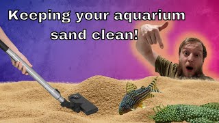 Cleaning aquarium sand gravel and substrate [upl. by Welcher]