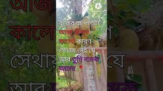 sorry dipannita song কালো dipannita music love newmusic motivation newmusicrelease sad [upl. by Hines]