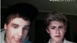 Liam Payne and Niall Horan TwitCam [upl. by Ahsienor]