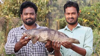 Hamour Fish Curry  Fish Curry Recipe  Ranganayakamma Kitchen [upl. by Clapp986]