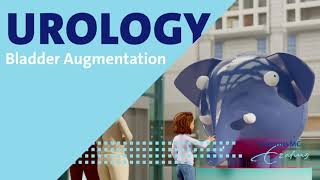 Neurogene Hoge druk blaas of blaasaugmentatie EN [upl. by Gewirtz]