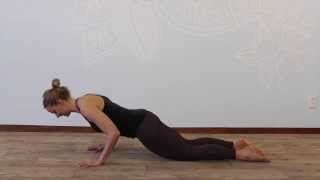 Chaturanga Modifications Building Strength [upl. by Tichon]