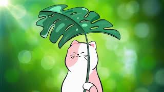 Fresh Summer 🍀Morning Vibes  Lofi beats for your life  Cat Lofi [upl. by Ecnaret]