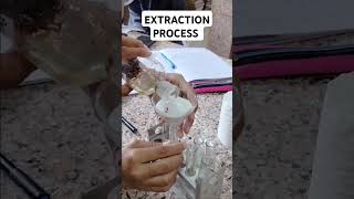 Tobacco  Nicotiana tabacum Extraction drugs forensicmedicine forensicsciencelaboratory [upl. by Eirrod]