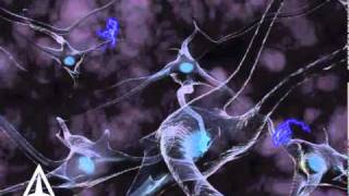 How Neurotransmission amp brain signals work  3D animation [upl. by Fortunato]