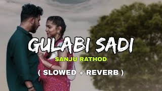 GULABI SADI  LOFI  Slowed  Reverb [upl. by Leno659]