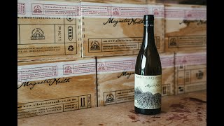 Alheit Vineyards │ Magnetic North [upl. by Layla]