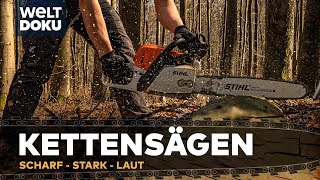 STIHL  KETTENSÄGEN IM EINSATZ  scharf stark und laut  HD Timber Doku [upl. by Freud]