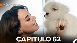 Alas de Amor Capitulo 62 Doblado En Español [upl. by Sinnel]