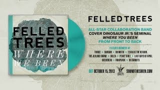 Felled Trees  Start Choppin feat Jason Beebout Samiam Dinosaur Jr [upl. by Redneval]