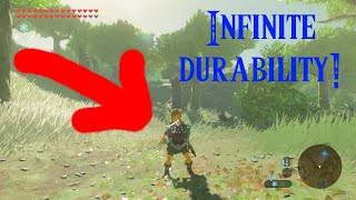 Infinite durability on the Hylian Shield  Zelda BotW Mod  Joronaud [upl. by Cerys]