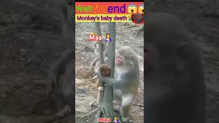 Monkey baby death 😭😭😭😰 [upl. by Pesek]