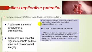 Etiology of cancer 4 [upl. by Enrika504]