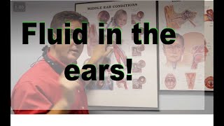 Middle Ear Fluid [upl. by Adnawahs]