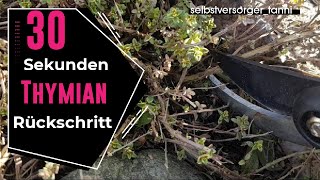 DIY Thymian richtig schneiden  Kräuter pflegen [upl. by Redneval]