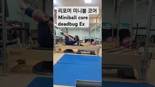 리포머미니볼 miniball 리포머시퀀스 deadbug 미니볼코어 core ballexercise 오운완 바디고 [upl. by Michelina]