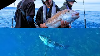 DEEP SEA FISHING KAPITI ISLAND  SnapperampGurnard  FishingampDiving [upl. by Ardnak]