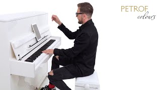 Ballade Pour Adeline  Piano Cover by Norbert Danis  PETROF COLOURS [upl. by Nerehs]