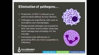 Solutions to Detect Oxidative Stress [upl. by Feil]