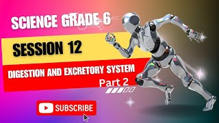 digestion amp excretory system  grade 6  science  first term [upl. by Eliga]