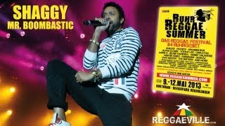 Shaggy  Mr Boombastic  Ruhr Reggae Summer in Dortmund Germany 5102013 [upl. by Airt]