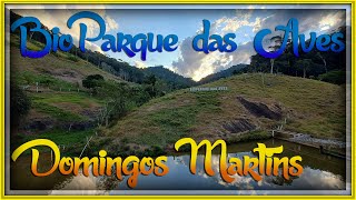 BioParque das Aves  Domingos Martins  PARTE 1 [upl. by Zetrauq384]