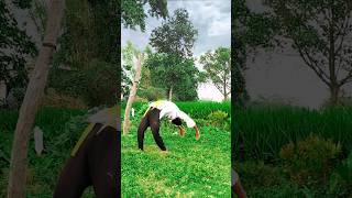 Taekwondo Martial best body flexibility✨martialarts taekwondo flexibility strength shorts [upl. by Acinorev]