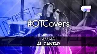 INSTRUMENTAL  Al cantar  Amaia  OTCover [upl. by Eninahpets]