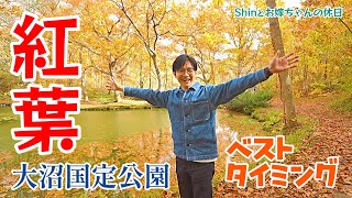 【秋まっさかり】大沼国定公園の紅葉を見に行ってきました！ 大沼国定公園 紅葉 [upl. by Rotow666]