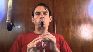 Rattlin Bog  Tin Whistle [upl. by Alilad]