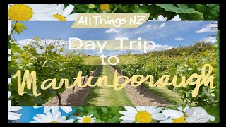 EP2 Wellington to Martinborough Day trip [upl. by Enniroc]