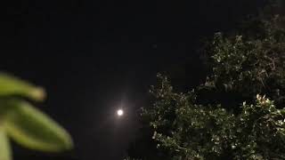 “Strawberry” Full Moon Timelapse June 22 2024 [upl. by Robert39]