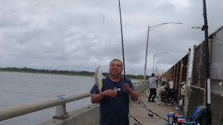 NYCFishing at the Cross bay North channel bridge 8312024 [upl. by Ayatan270]