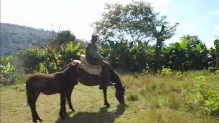 Haitian Creole Music Bonne Fete Haiti [upl. by Prosser]