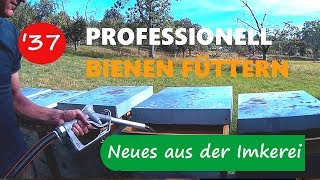 Bienenvölker professionell und richtig einfüttern  Neues aus der Imkerei37 [upl. by Fulcher]