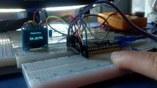 ESP32  Display OLED  MLX90614 [upl. by Reinhardt]