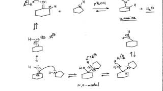 Mechanism of Enamine Formation Organic Chemistry [upl. by Ainav]