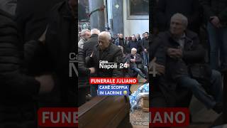 Funerale Antonio Juliano CANÉ scoppia in lacrime 😭🥺 Juliano [upl. by Aneet]