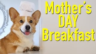 MOTHERS DAY  Topi the Corgi [upl. by Candie]