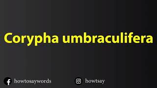 How To Pronounce Corypha umbraculifera [upl. by Yllor826]