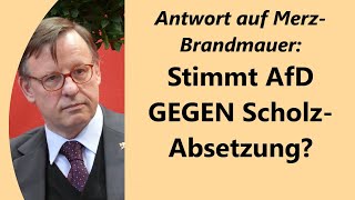 Merz braucht AfDStimmen evtl um Scholz zu stürzen und Kanzler zu werden [upl. by Ellekcir]