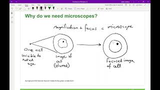 Springboard KS3 Science How to Use OneNote to Deliver Science Lessons [upl. by Gaspar]