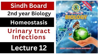 disorders of urinary tract  urinary tract infection  homeostasis  class 12 biology Sindh board [upl. by Rivard]