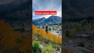 Autmn season kalamvalleymountains nature swatkalam duet [upl. by Eelinej]