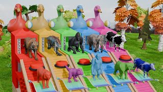 Cow Elephant Lion Gorilla Hippo 3D Animals Room CHALLENGE paint Funny Animals Cage Game [upl. by Yorled]